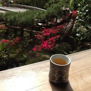 Meet your Posher, Miriam